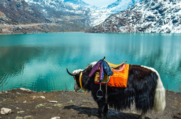 Tsomgo Lake in Sikkim