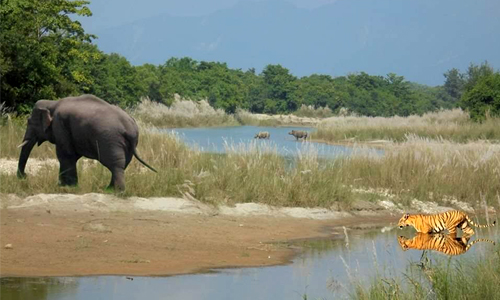 Chitwan Tour Package From Gorakhpur