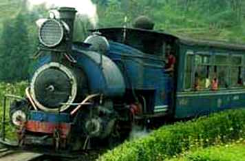 Darjeeling  Kalimpong  Gangtok Tour Package From NJP