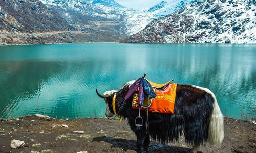 Gangtok Lachen Lachung Tour Package from NJP